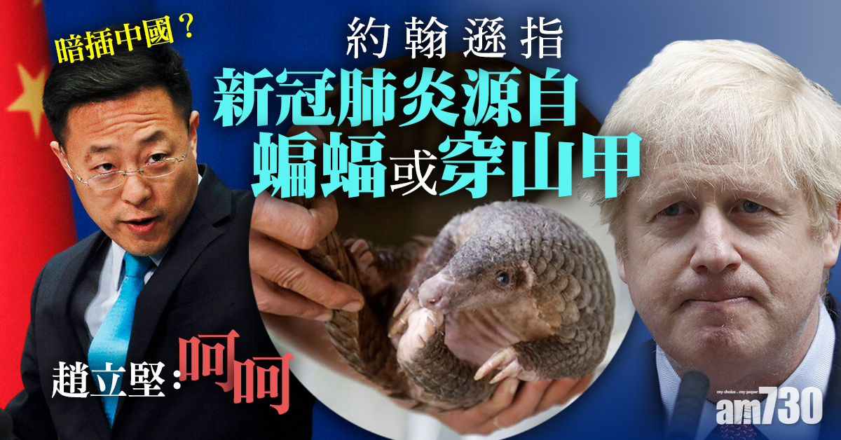 【新冠肺炎】暗插中國  約翰遜：新冠病毒源自穿山甲鱗片粉末可強身健體的瘋狂迷信