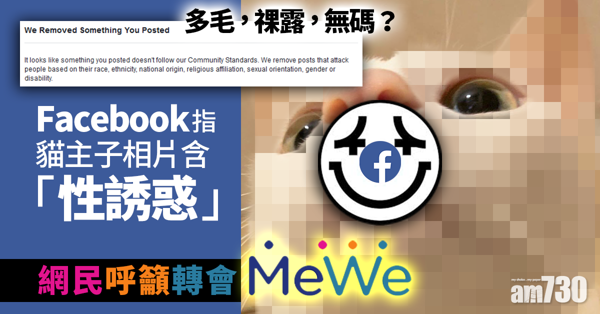 【社交平台】FB指貓主子相片「性誘惑」　網民批：愈嚟愈膠