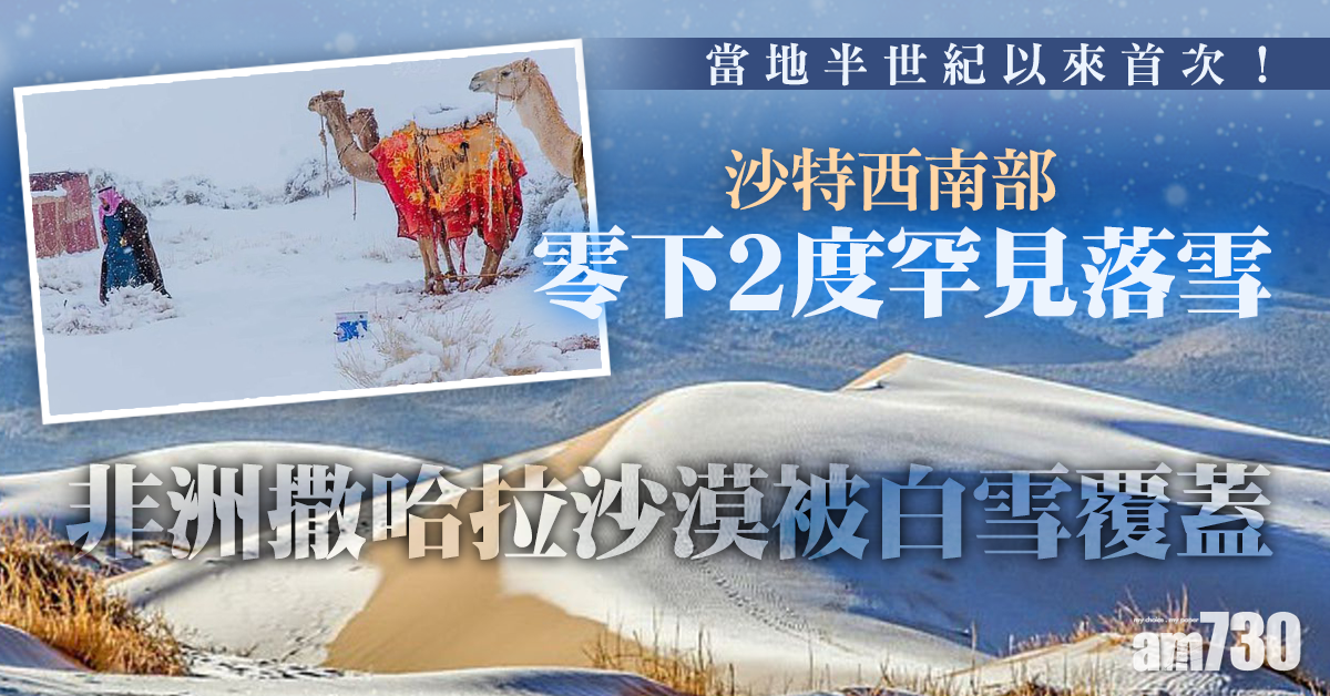 【極端天氣】沙特西南部零下2度罕見落雪 非洲撒哈拉沙漠被白雪覆蓋