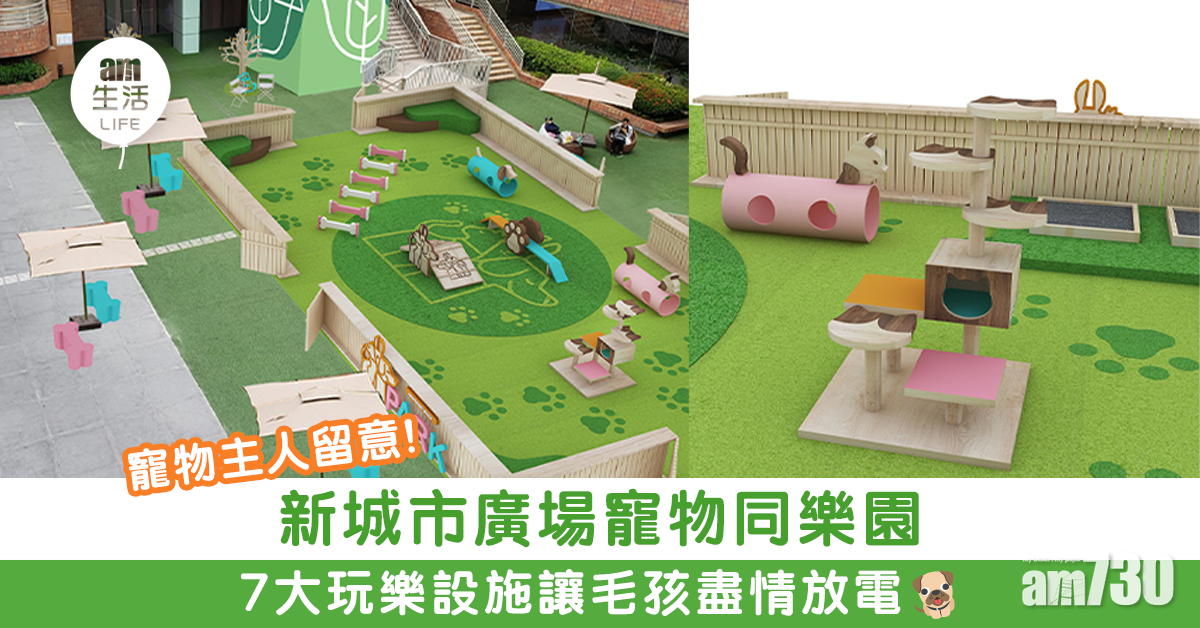 新城市廣場寵物同樂園 7大玩樂設施讓毛孩盡情放電