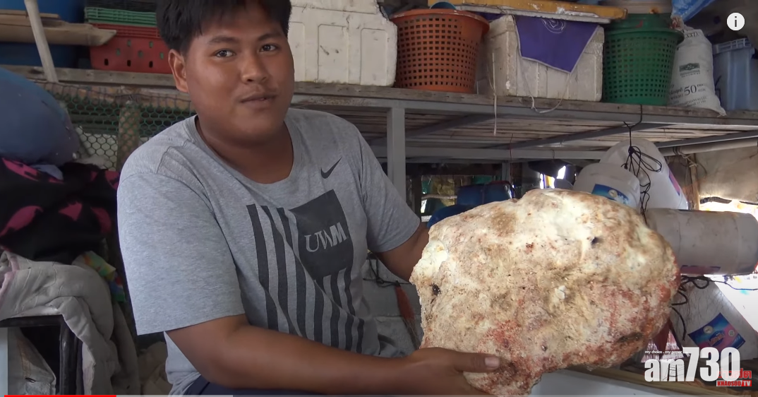 【天降橫財】泰少年撿不明怪石 一夕變百萬富翁