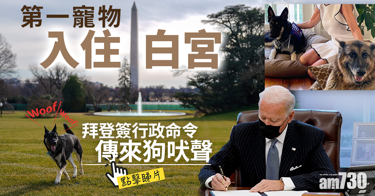 拜登就職｜第一寵物入住白宮　拜登簽行政命令傳來狗吠聲 (有片)