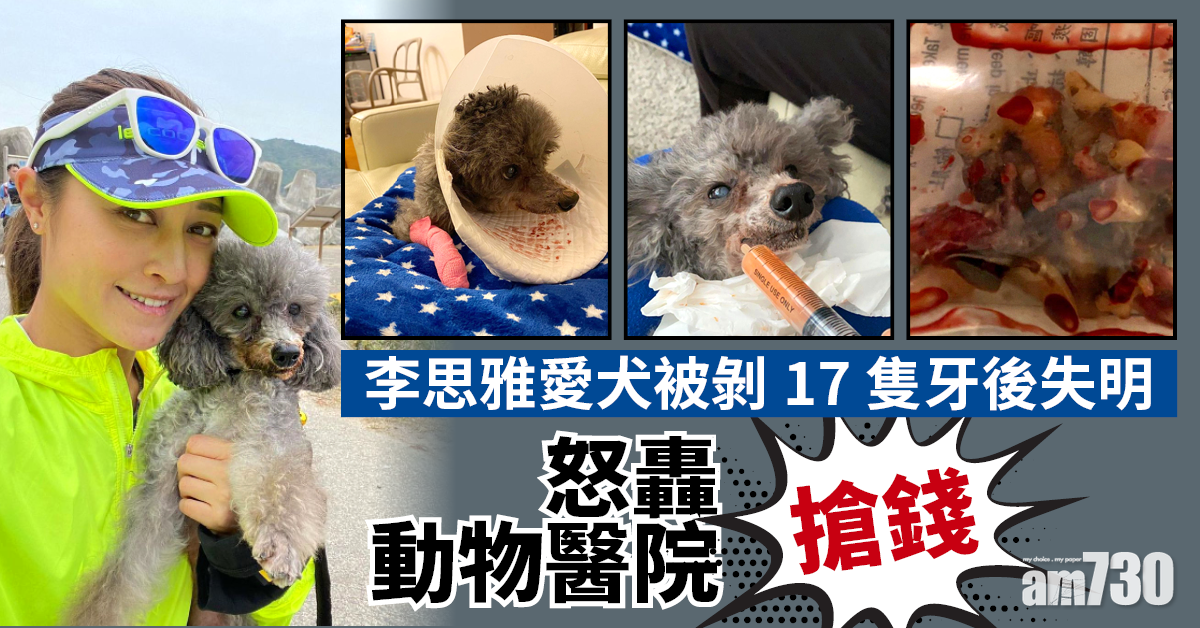 李思雅愛犬被剝17隻牙後失明 怒轟動物醫院搶錢
