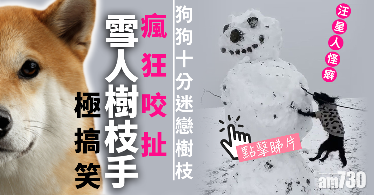 樹枝迷｜見到雪人樹枝手 狗狗瘋狂咬扯極搞笑 (有片)