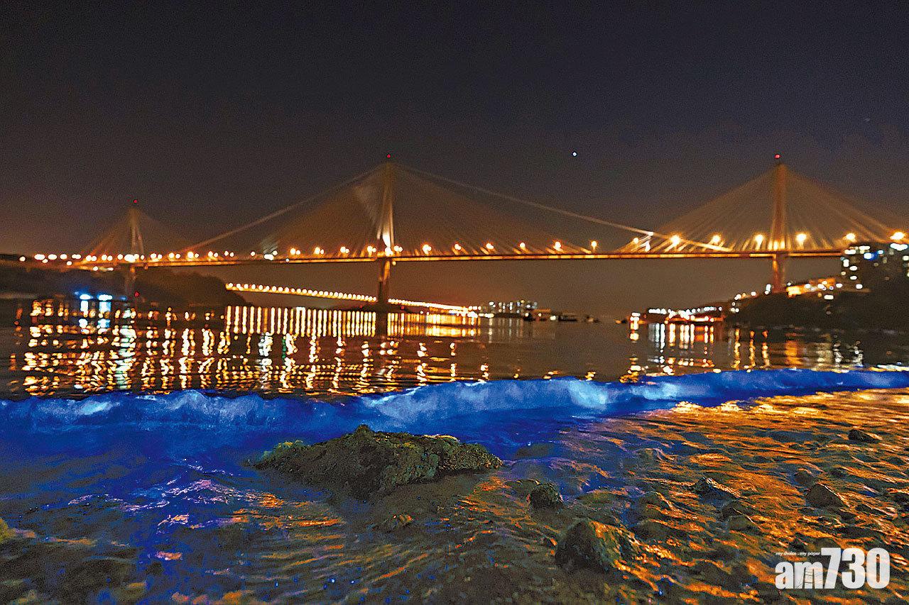 【圖遊】藍眼淚  美麗背後，危機四伏