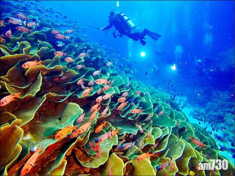 亞太首例｜台灣帕勞旅遊氣泡下月啟動 首團1號出發