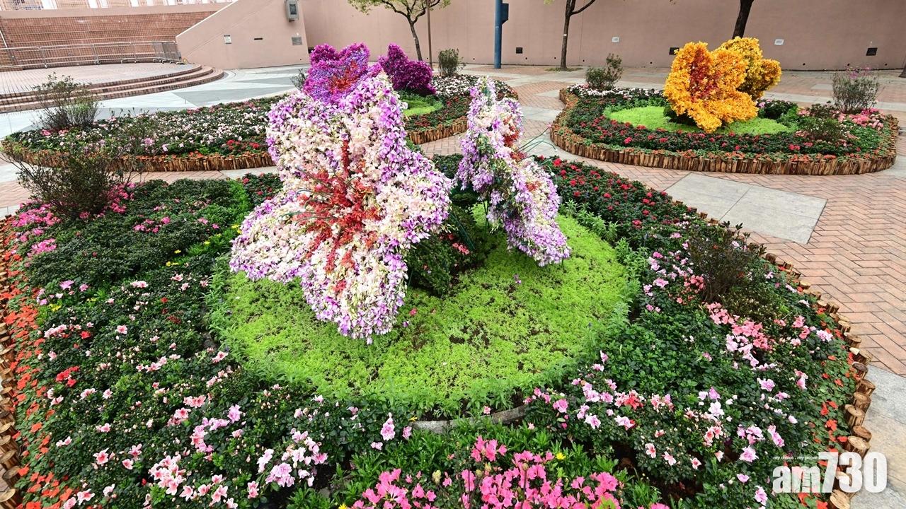網上花展｜九龍公園賞主題花杜鵑 明起可3D虛擬導覽賞18區花圃