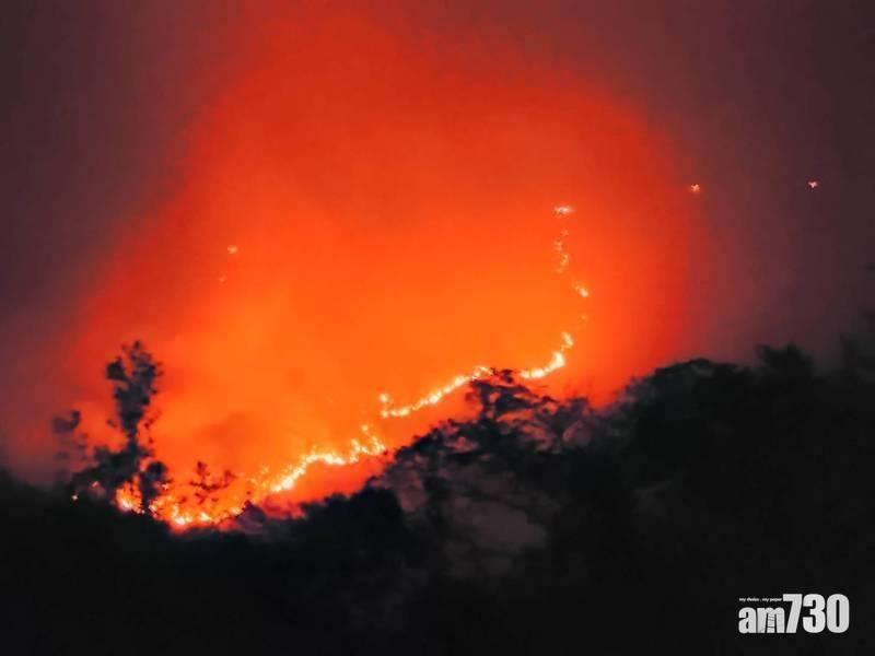 阿里山山火受控 賞櫻人潮重現