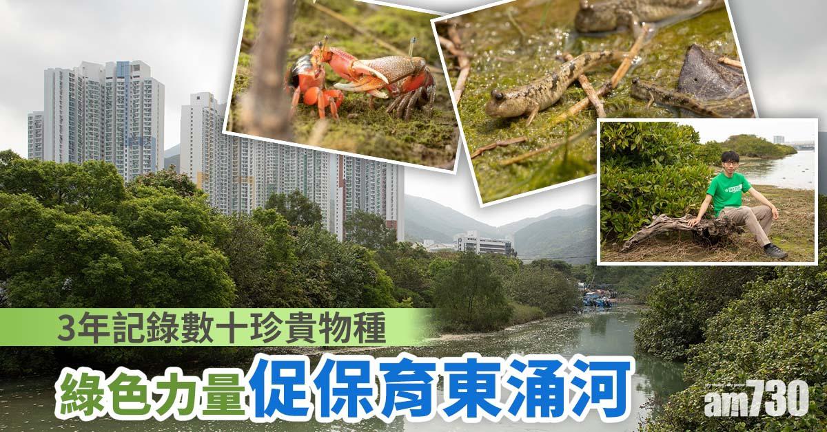與民共議｜3年記錄數十珍貴物種 綠色力量促保育東涌河