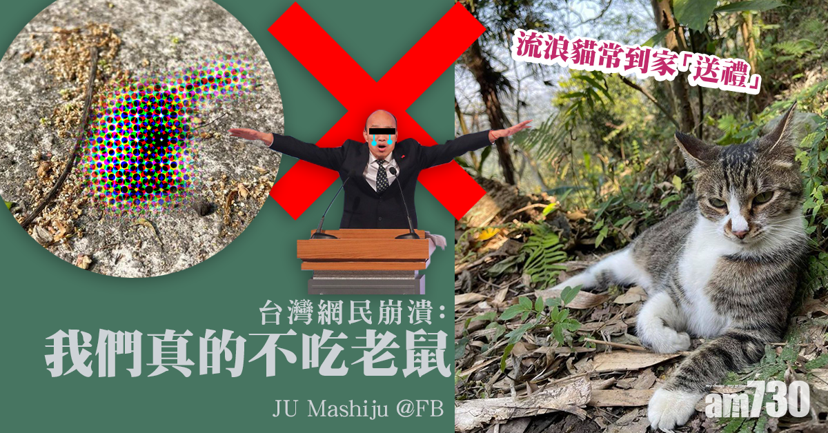 毛孩天地｜森系浪浪送禮　網民崩潰：「請不要這麼客氣了」