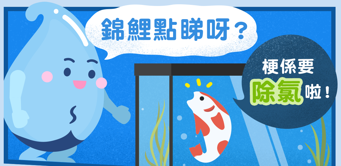  網上熱話｜水務署吉祥物提養錦鯉要「除六」   網民︰斬開6份 變咗刺身