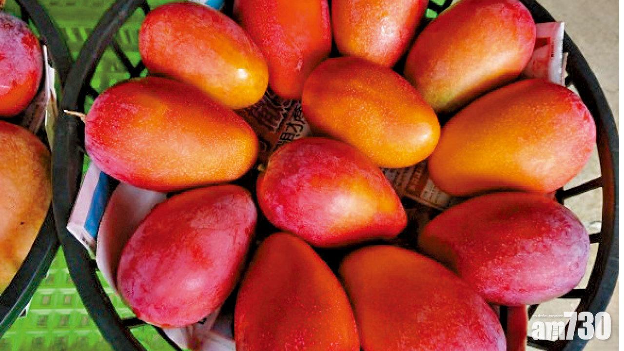 台灣乾旱過億元農作物受災 愛文芒恐減產但更甜