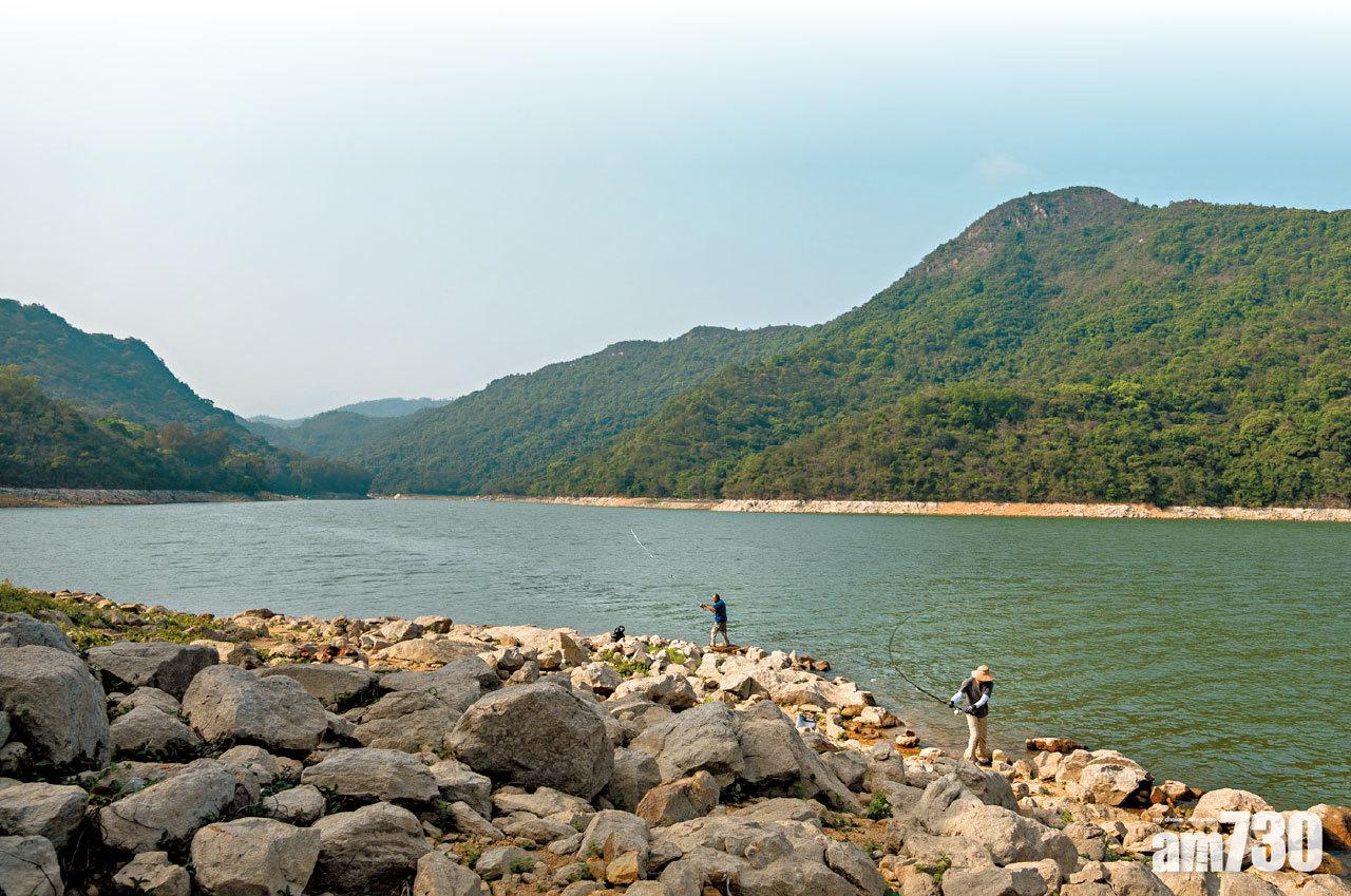 新聞圖輯 | 暮春垂釣百態