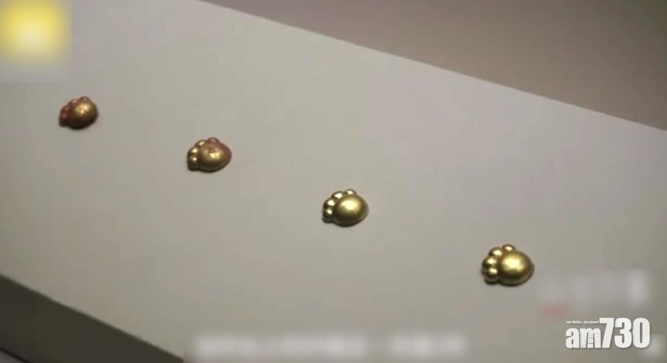 最萌文物｜2700年前有貓奴？周代貓爪金飾片出土