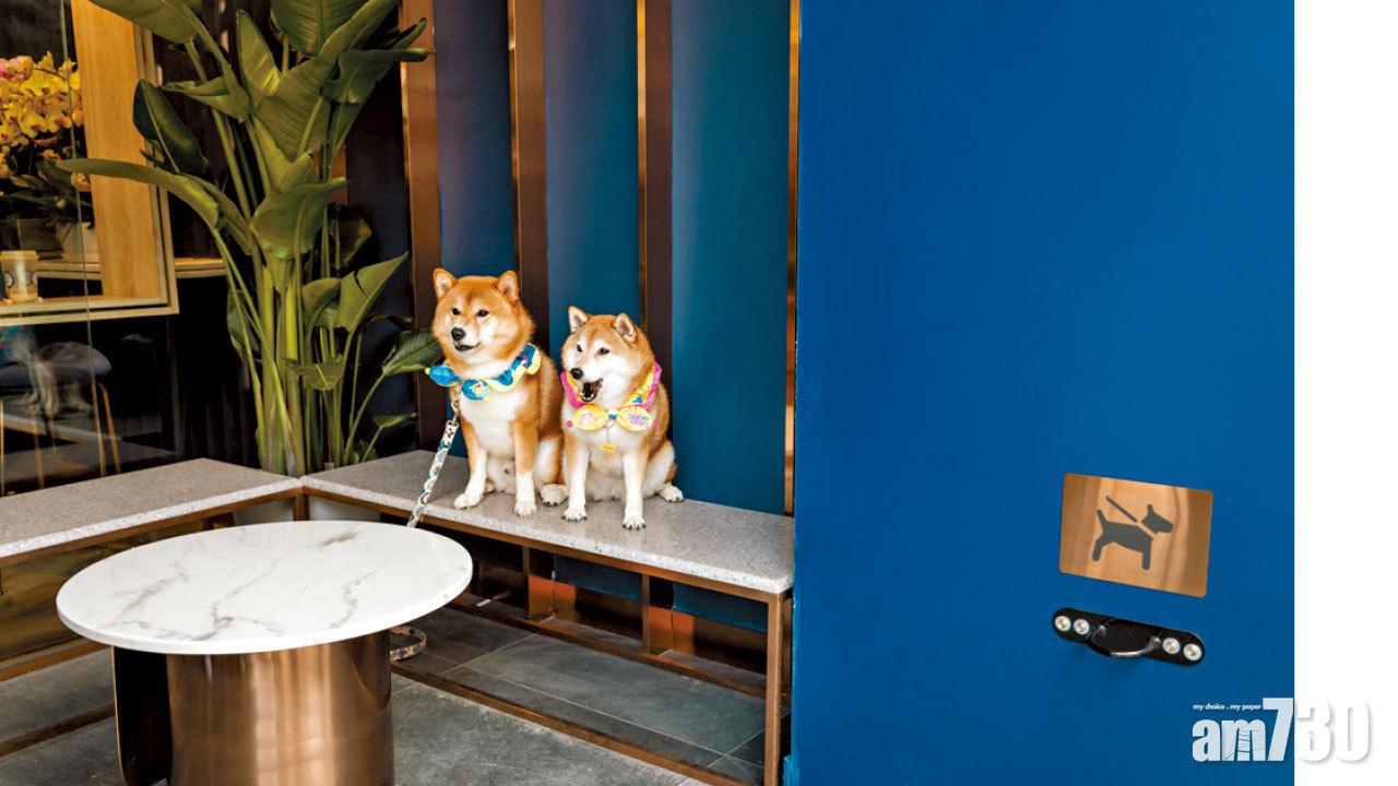 放空新場 ! 4千呎BLUEBIRD COFFEE 狗仔同樂