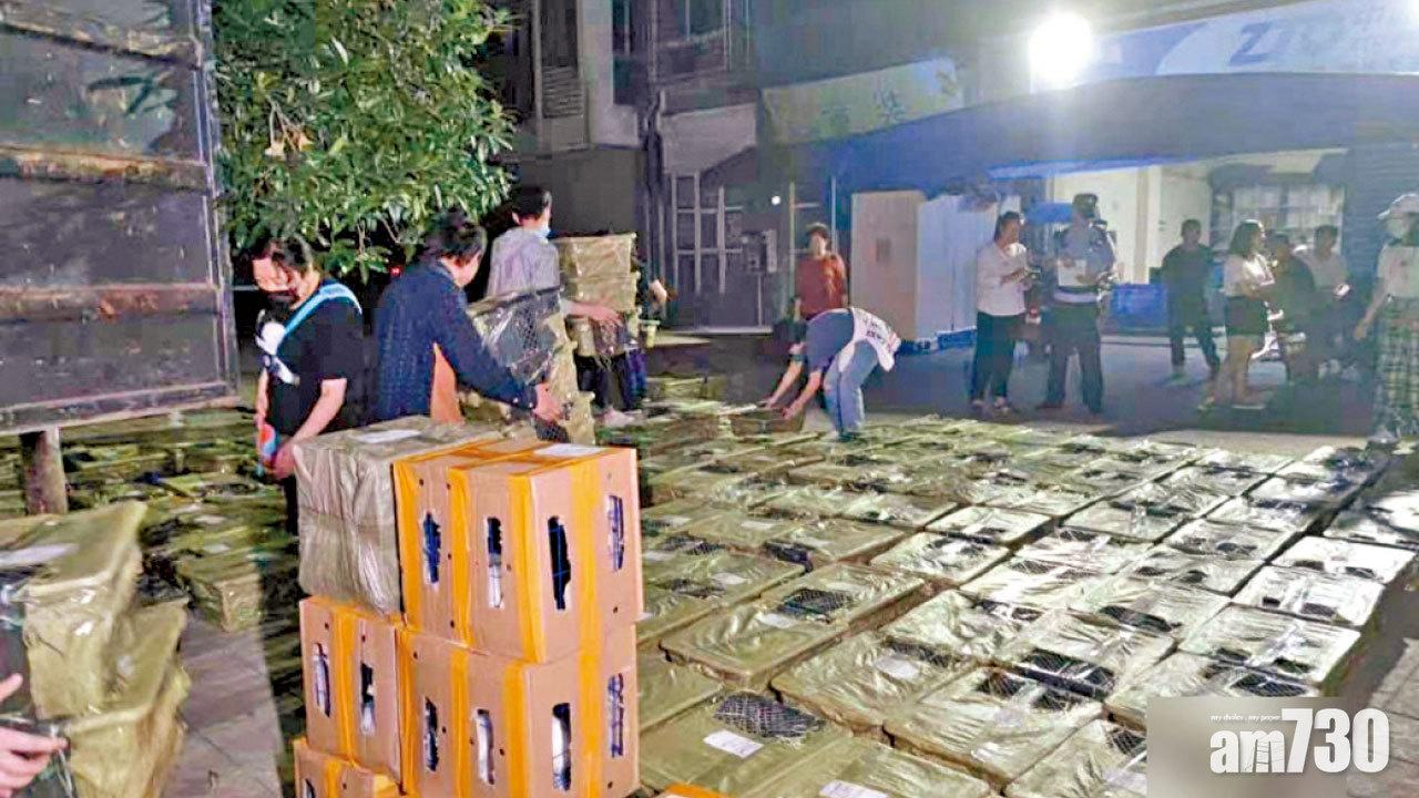 逾160貓狗塞密封貨車 成都寵物盲盒釀4死