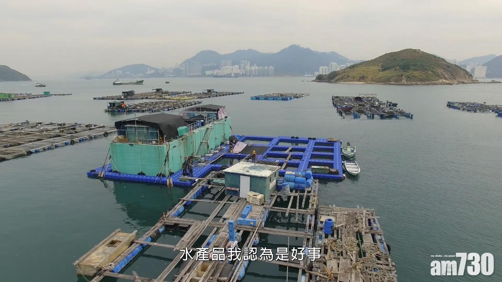 城大夥養殖戶研育海魚苗系統