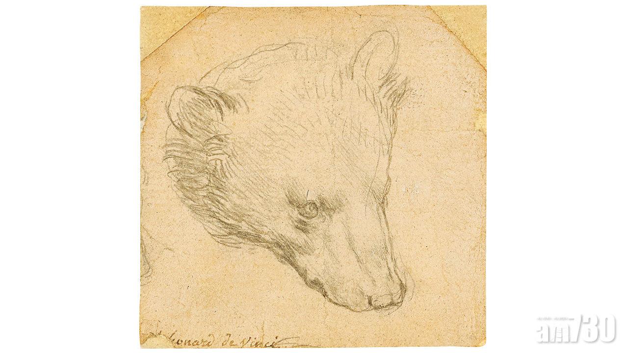 7月倫敦拍賣  將來港展出  達文西《熊頭》料賣1.3億