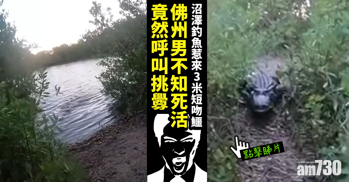 有片｜佛州男沼澤釣魚惹來3米短吻鱷