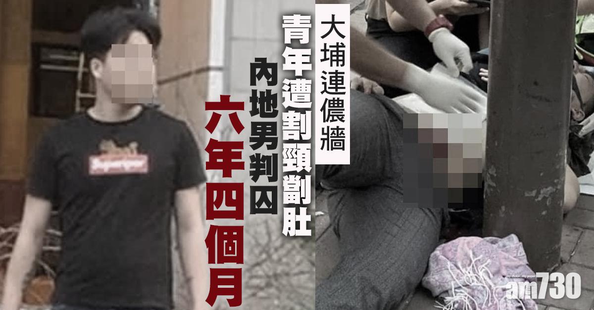修例風波｜大埔連儂牆青年遭割頸劏肚　內地男判囚6年4個月