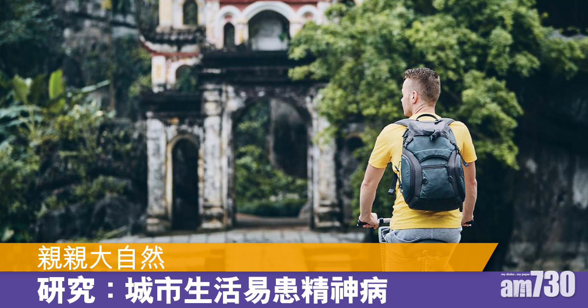 多接觸大自然吧！研究：城市生活增患精神問題風險