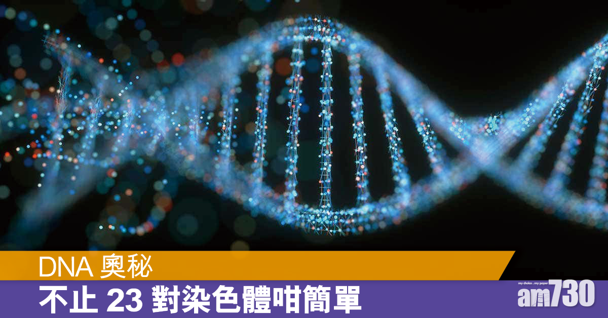 人類可能唔止23對染色體咁簡單？