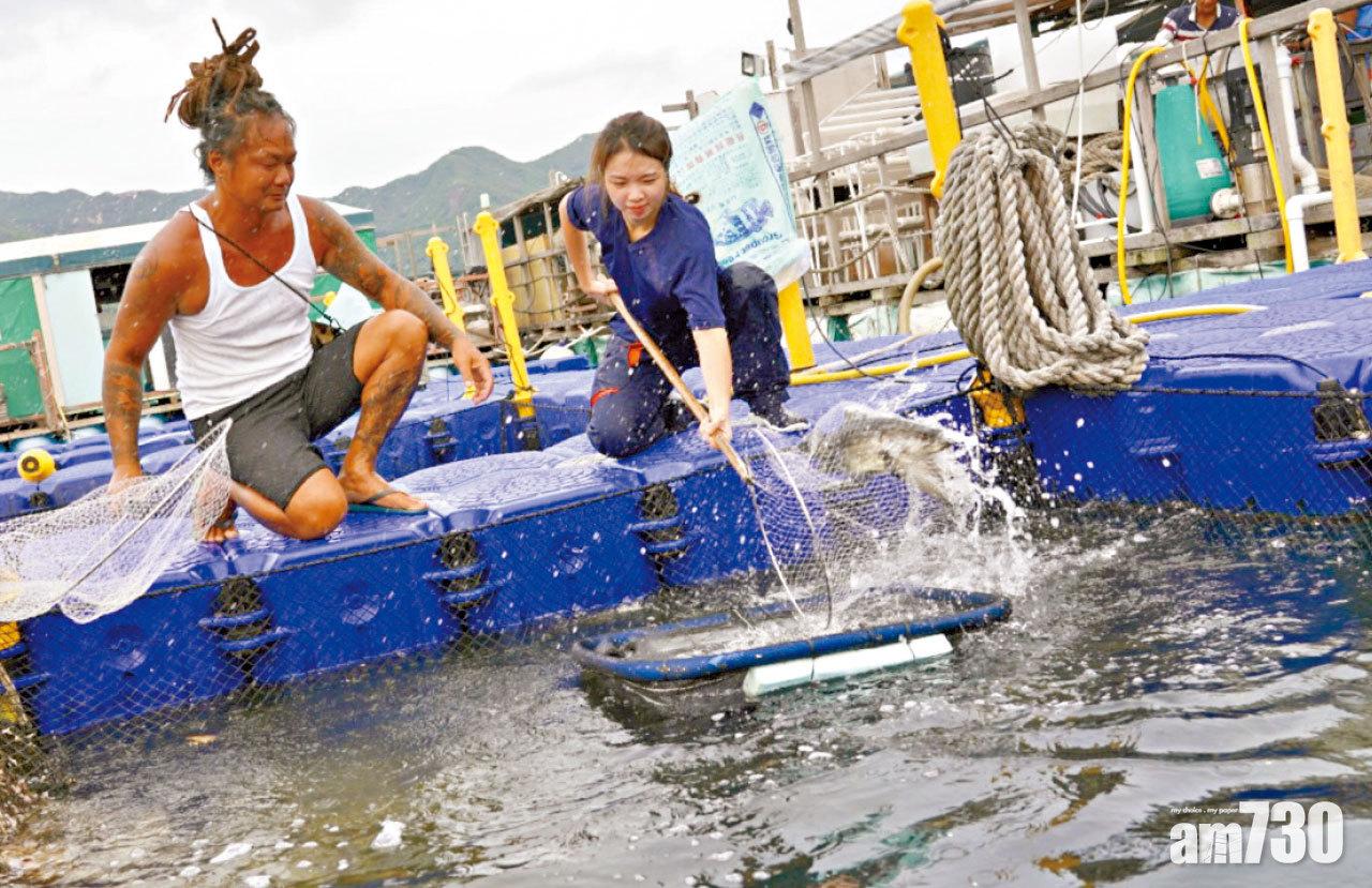 學以致用 日灑雨淋體驗漁民工作 00後 : 因對海洋的熱愛