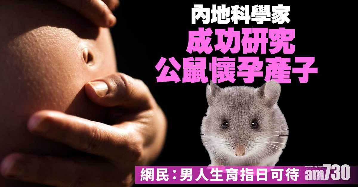 內地科學家成功研究公鼠懷孕產子 網民：男人生育指日可待