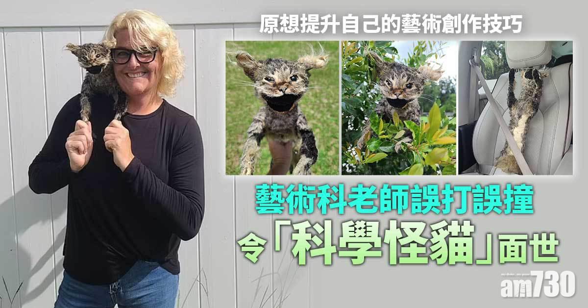 創意無限｜藝術科老師誤打誤撞 「科學怪貓」面世