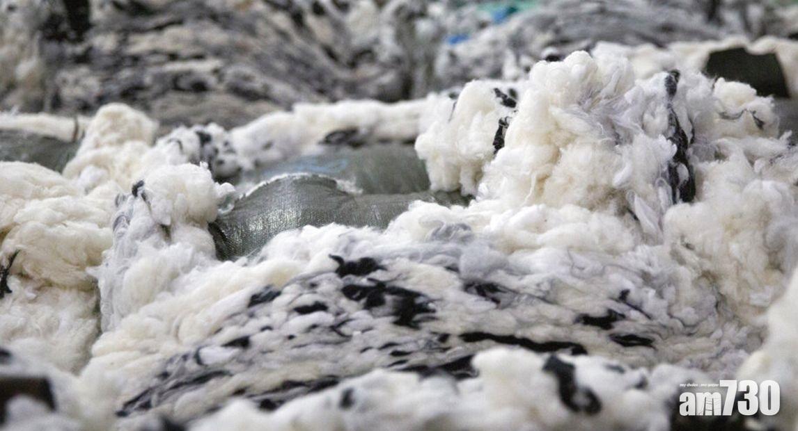 新疆棉｜新疆子公司遭列黑名單　港商告美國政府