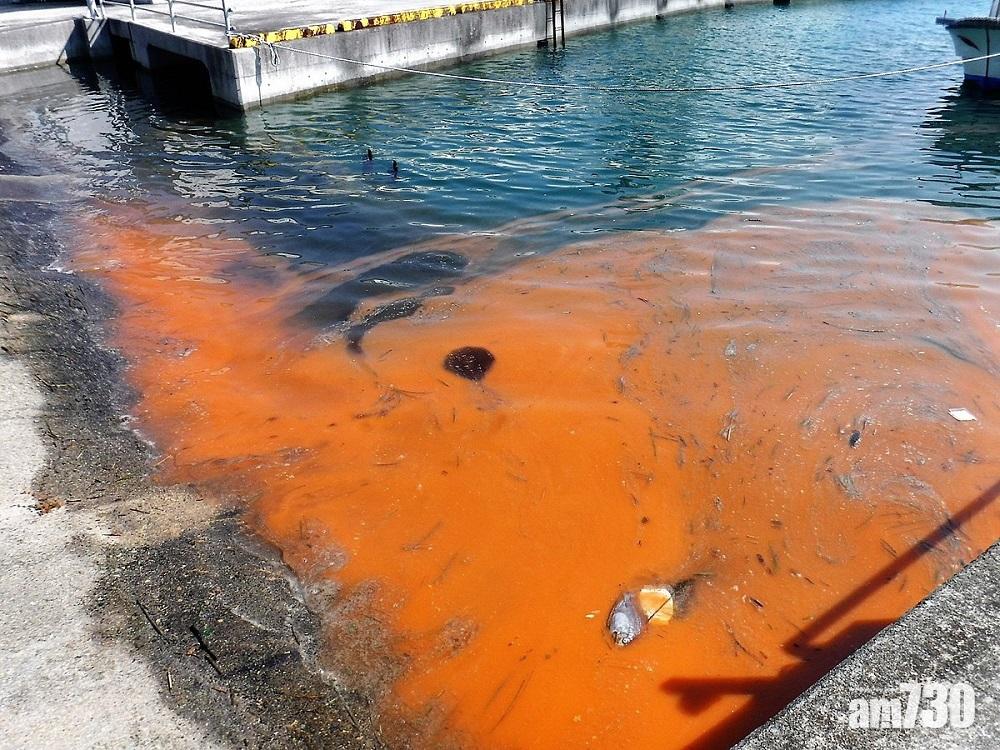 紅潮｜間接影響食物安全 食貝殼類海產或食物中毒