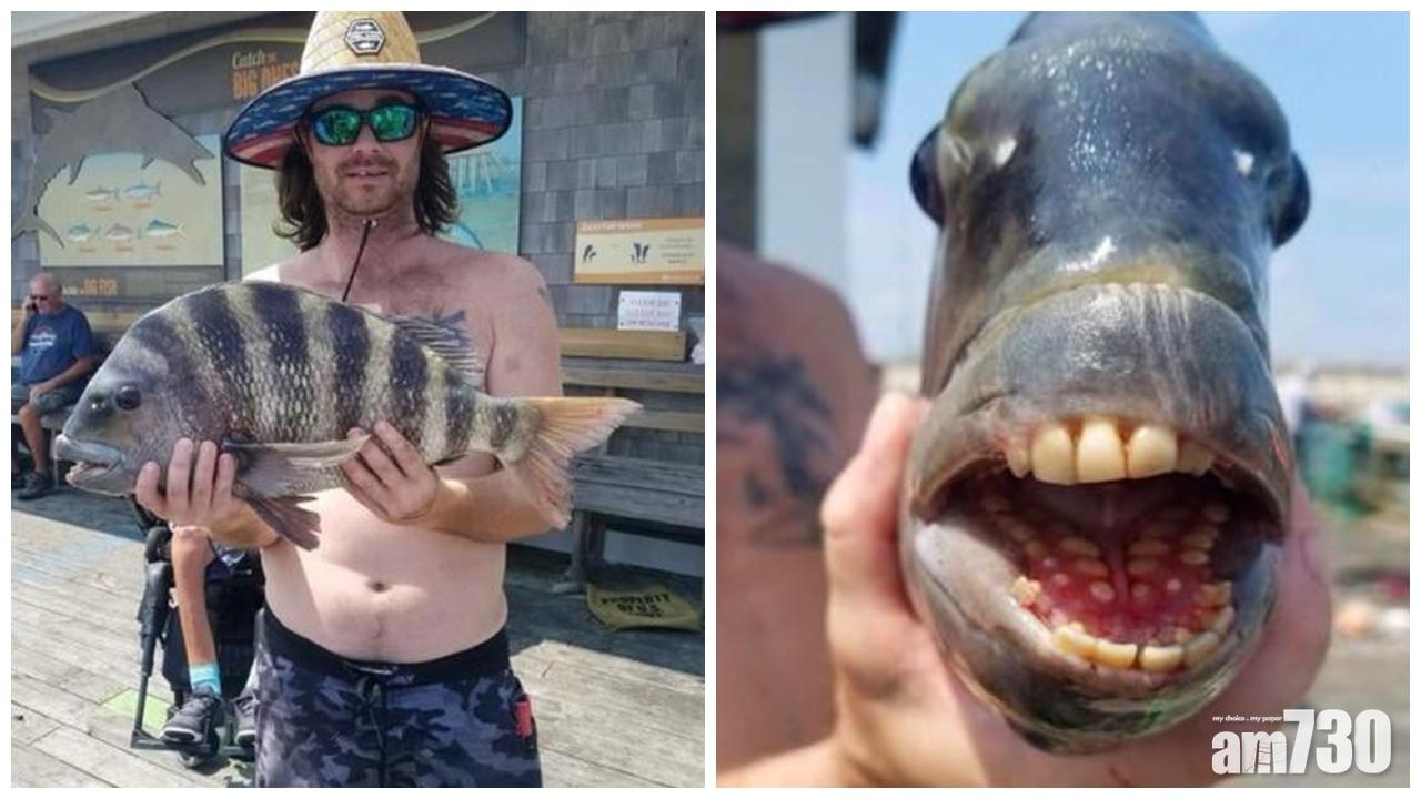 千奇百趣｜怪魚長有「人類牙齒」 美漢捕獲拍照嚇親網民