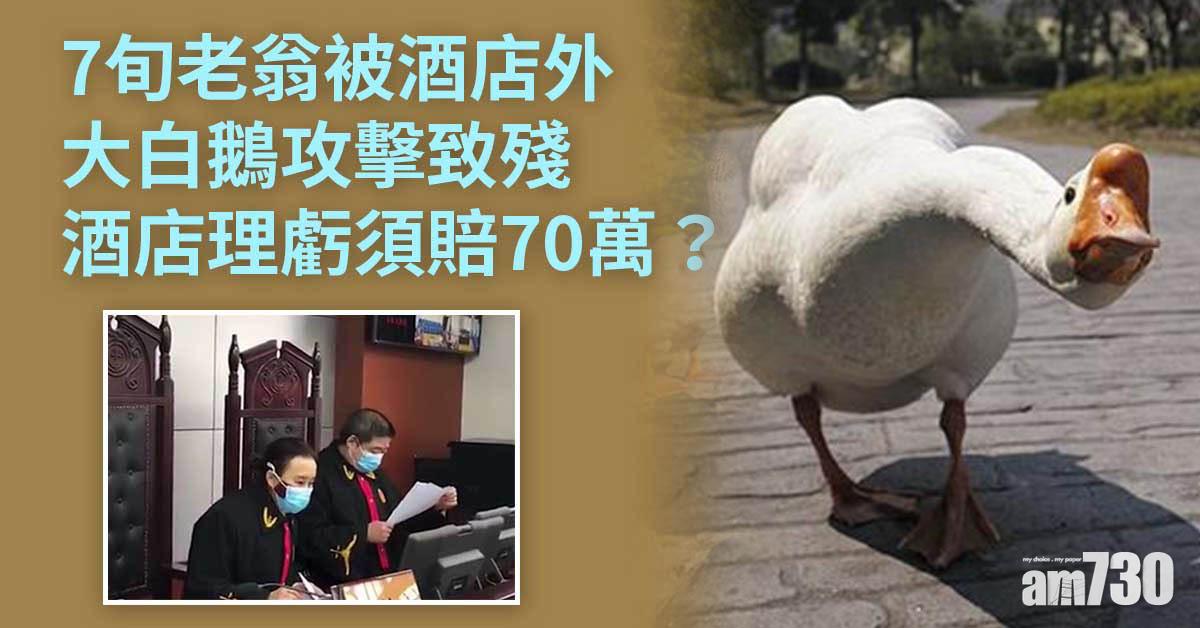7旬老翁被酒店外動物攻擊致殘 酒店理虧須賠70萬？
