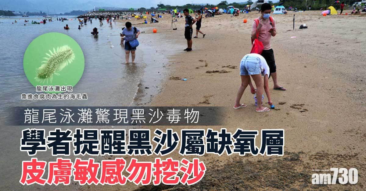 沙灘有毒｜龍尾泳灘驚現黑沙毒物　學者提醒皮膚敏感勿挖沙