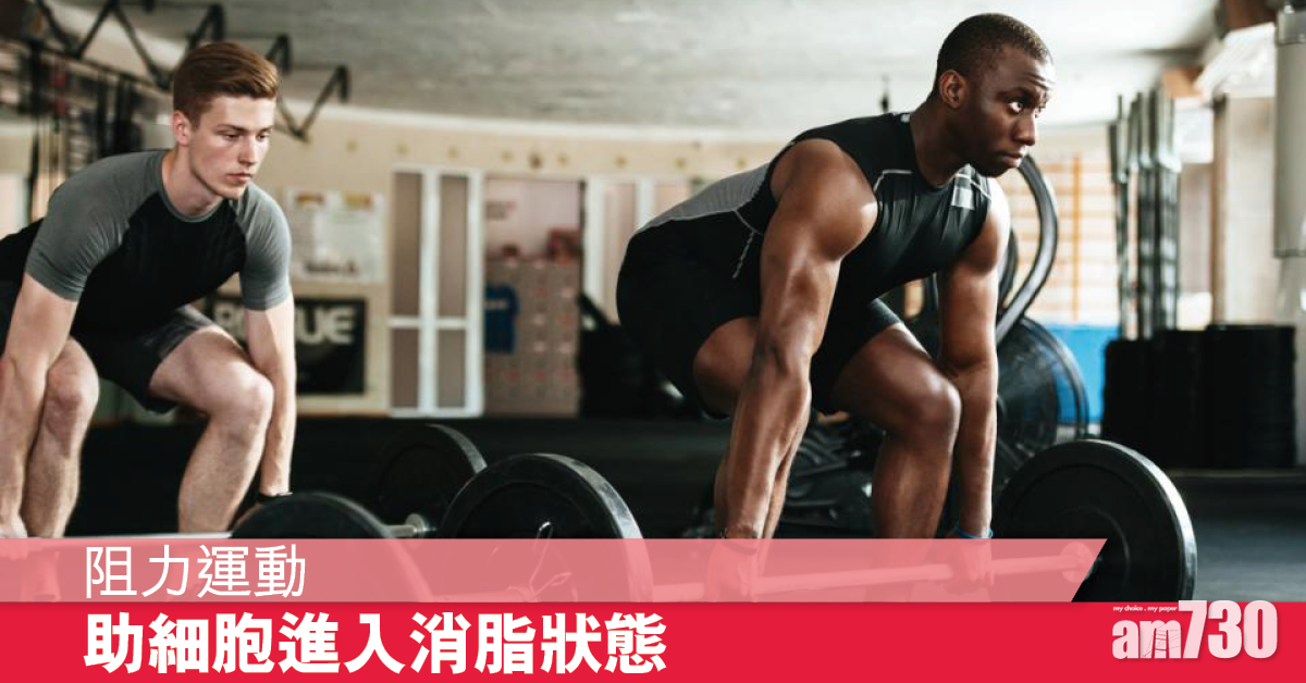 阻力運動 幫助細胞進入消脂狀態