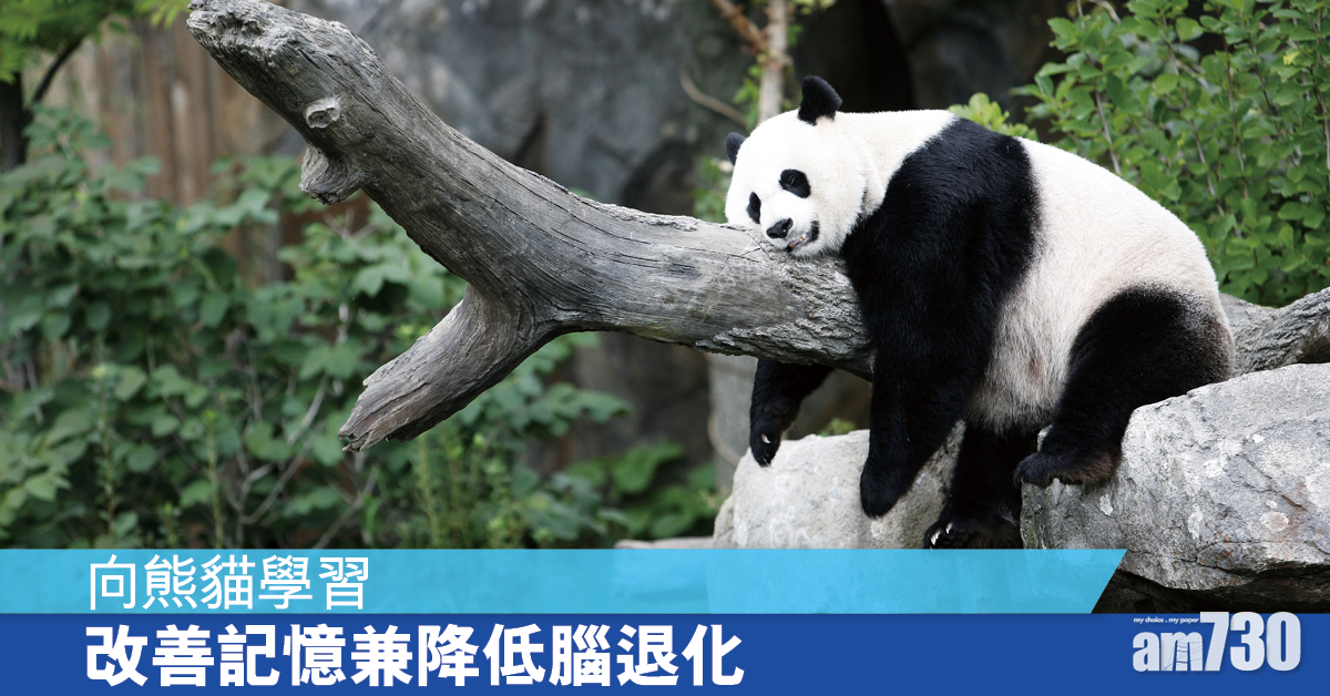 健康特效藥 助改善記憶兼降低腦退化風險