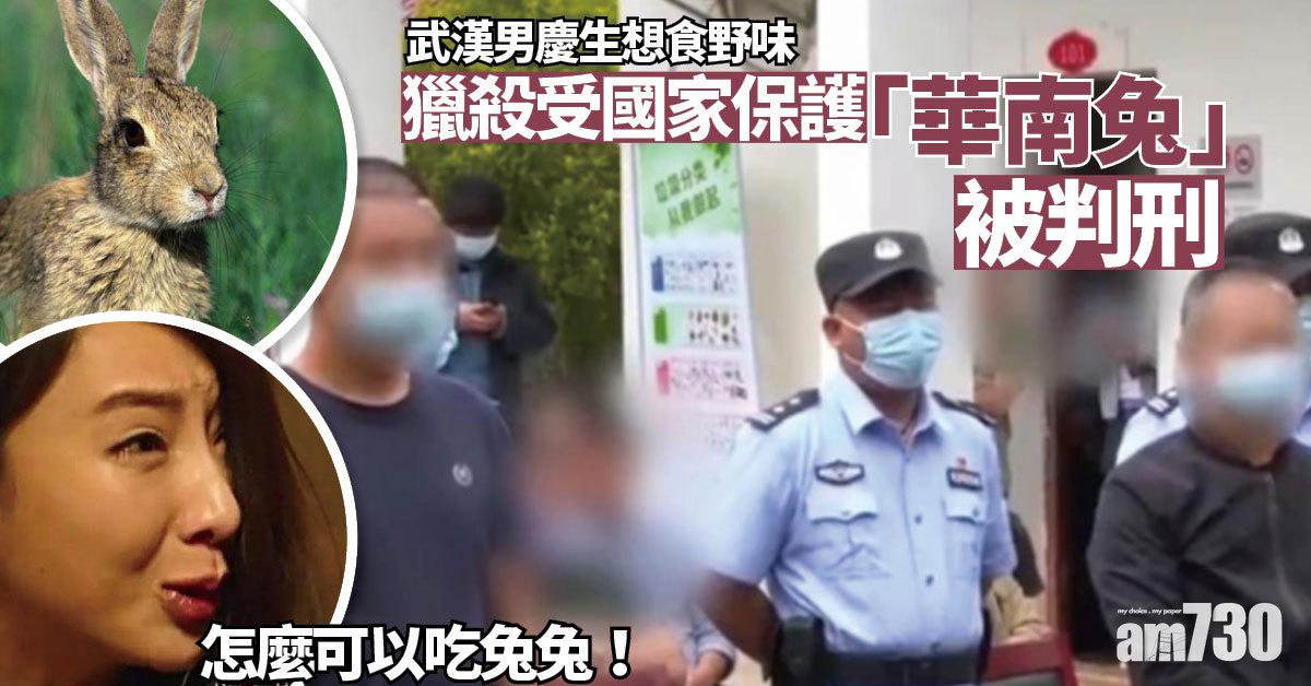 武漢兩男慶生想食野味 獵殺3隻野兔被判刑