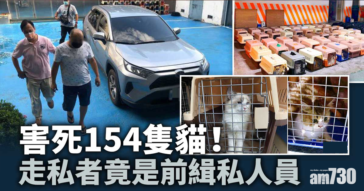 害死154隻貓！走私者竟是前緝私人員