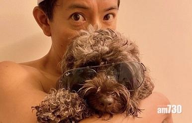 隔離14日｜木村睇片玩狗度日