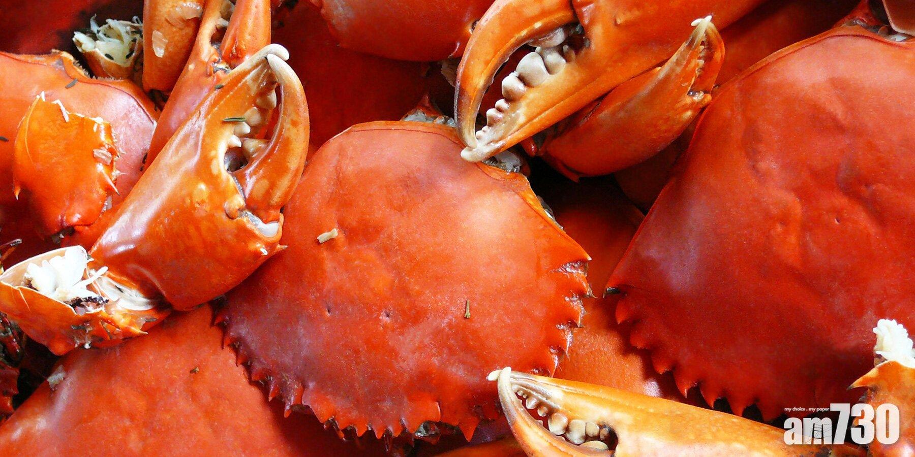 蟹季開始 識揀適食去享受蟹的滋味