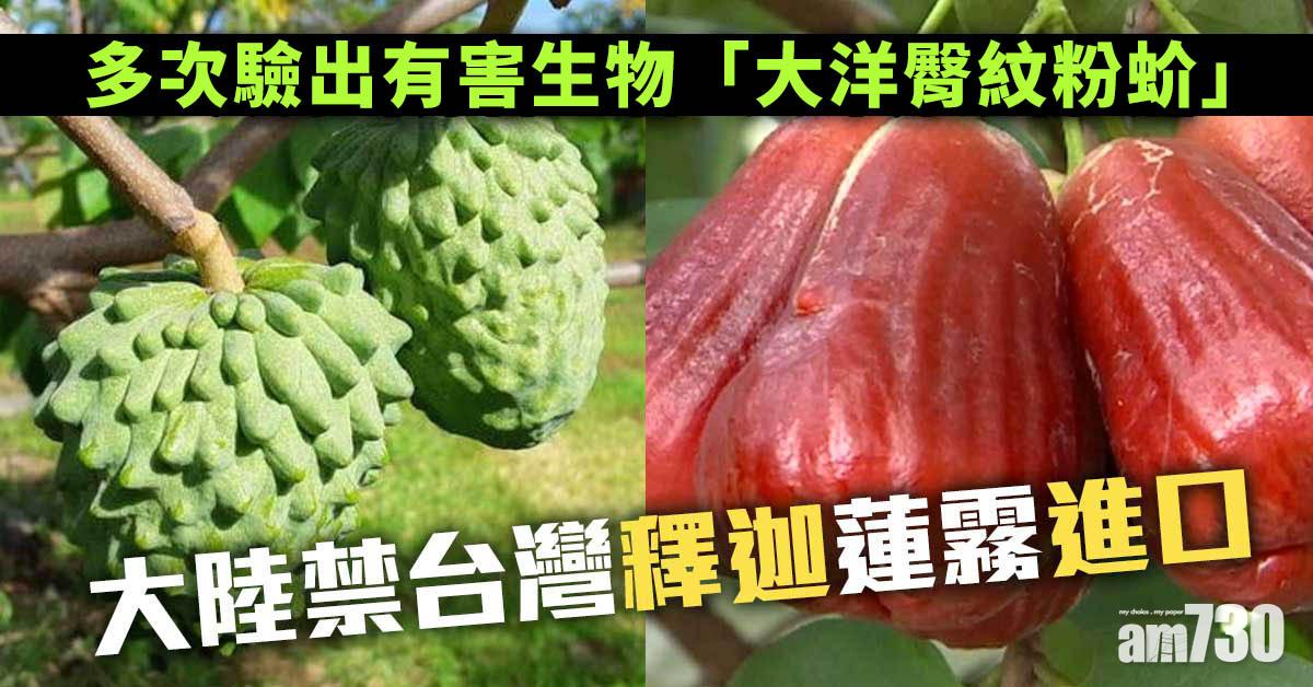 繼鳳梨後 大陸明起禁台灣釋迦蓮霧進口