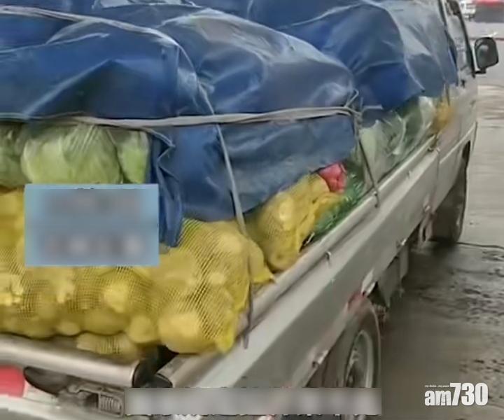 網上熱話｜吉林菜販被收「過路費」 竟因車上有芥菜？
