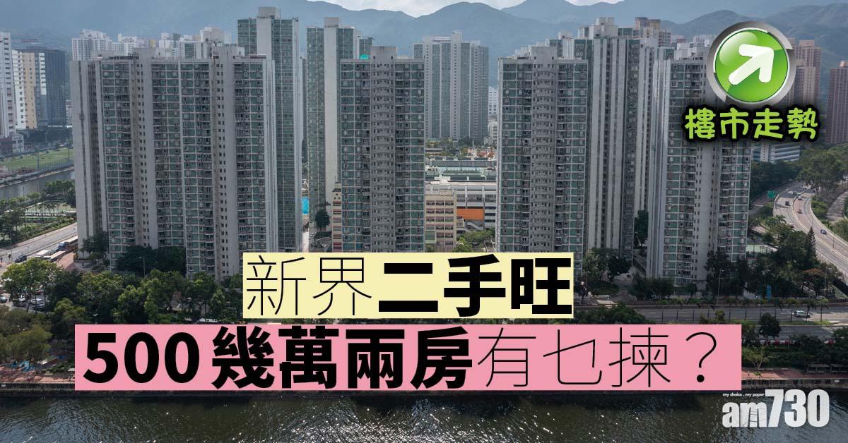 樓市走勢｜新界二手旺 500幾萬兩房有乜揀？