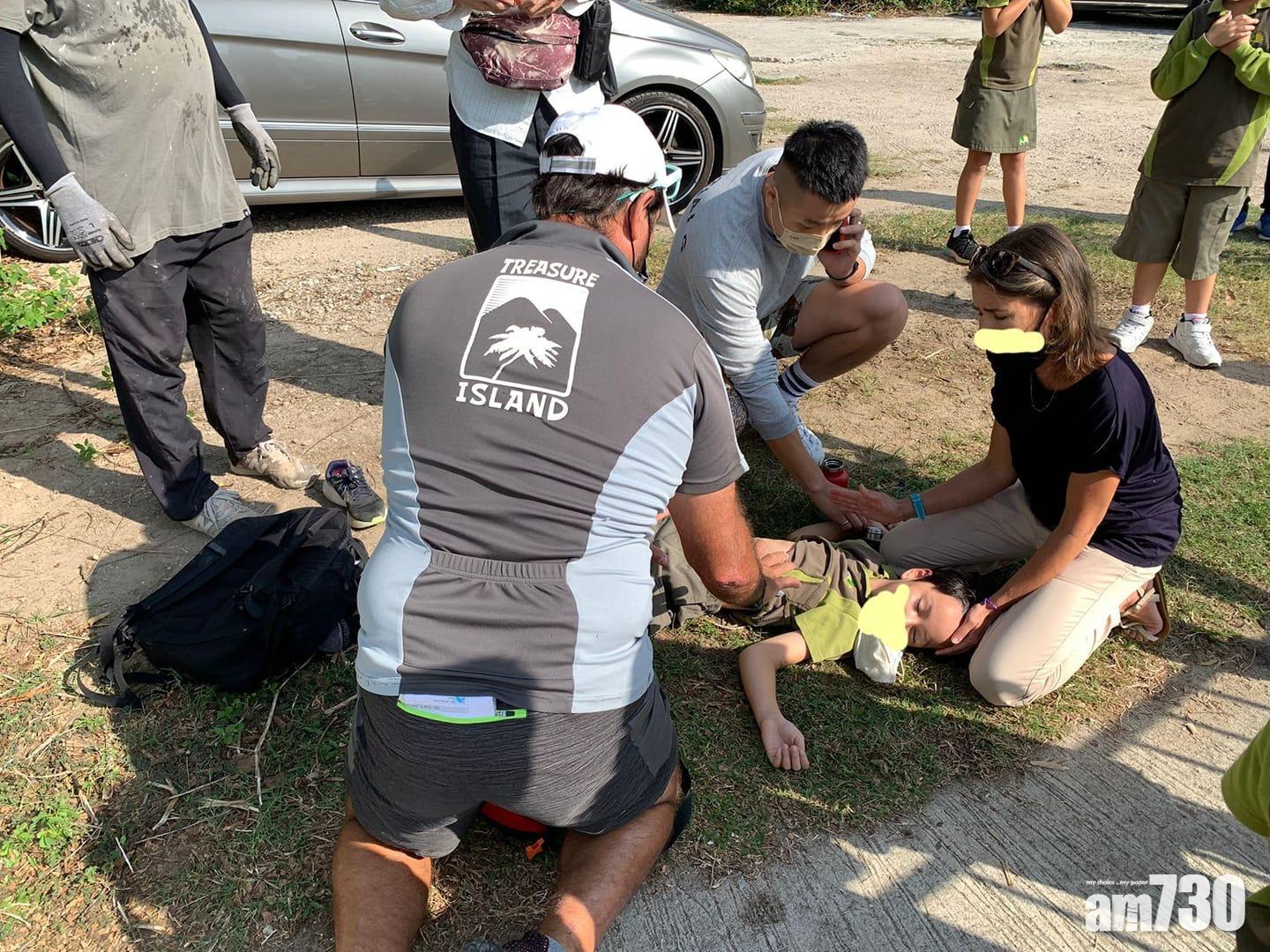 大嶼山貝澳水牛衝入學生群　撞傷3學童後逃去無蹤