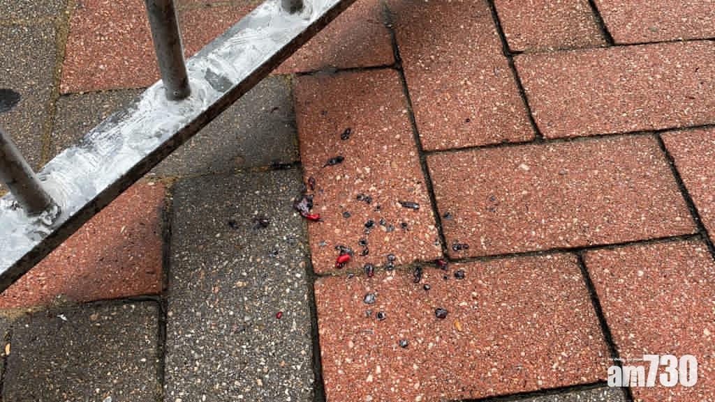 涉國慶日黃大仙燒國旗　警再拘1男