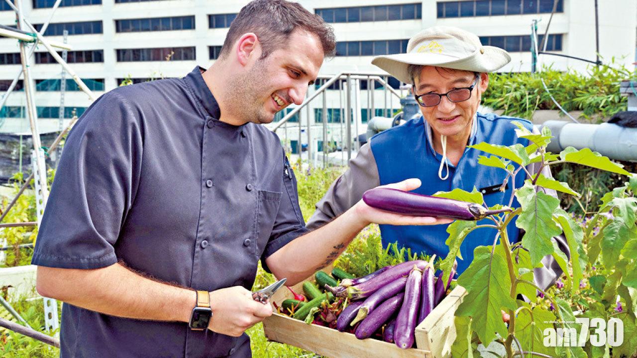 天台花園下的平原雞飯