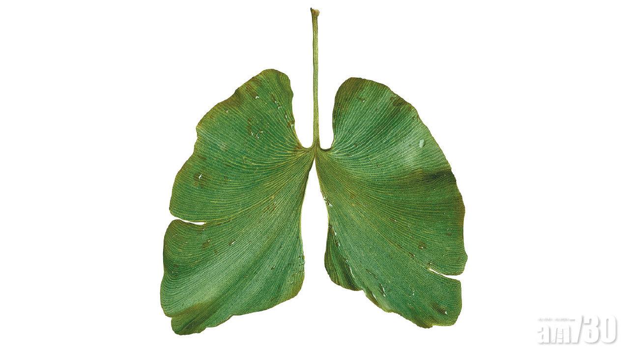 肺癌篩查 隨時救你一命