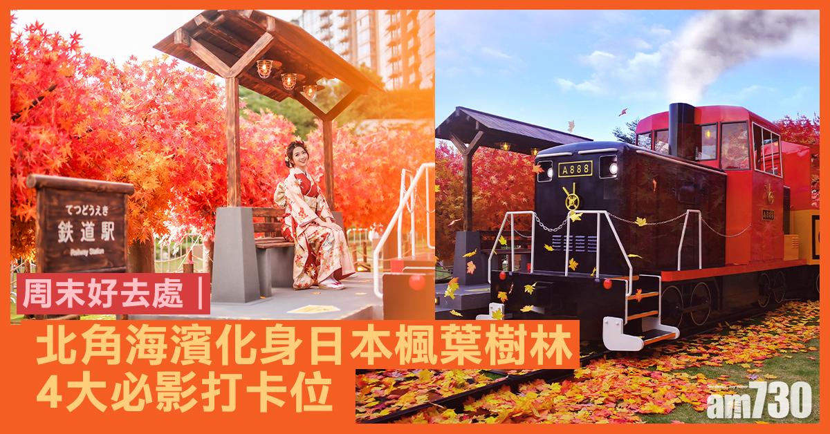 周末好去處｜北角海濱化身日本楓葉樹林 4大必影打卡位 仿真楓葉+楓樹/鉄道駅/觀光火車