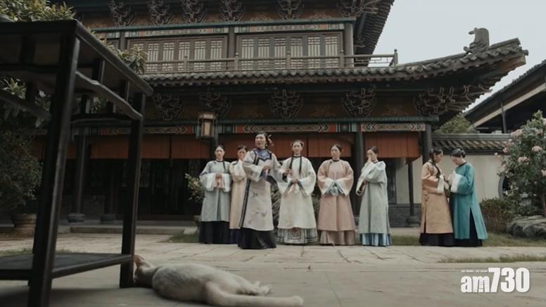 于正《當家主母》疑真殺貓 網民震怒 拒信劇組澄清