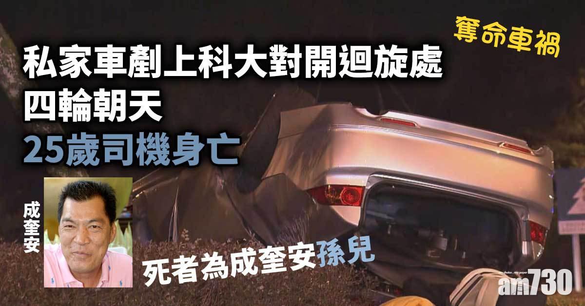 成奎安男孫科大對開遇意外　駕車剷迴旋處反車亡